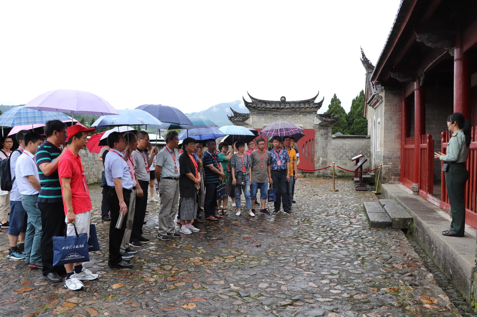 IMG_4133.JPG IMG_4133.JPG