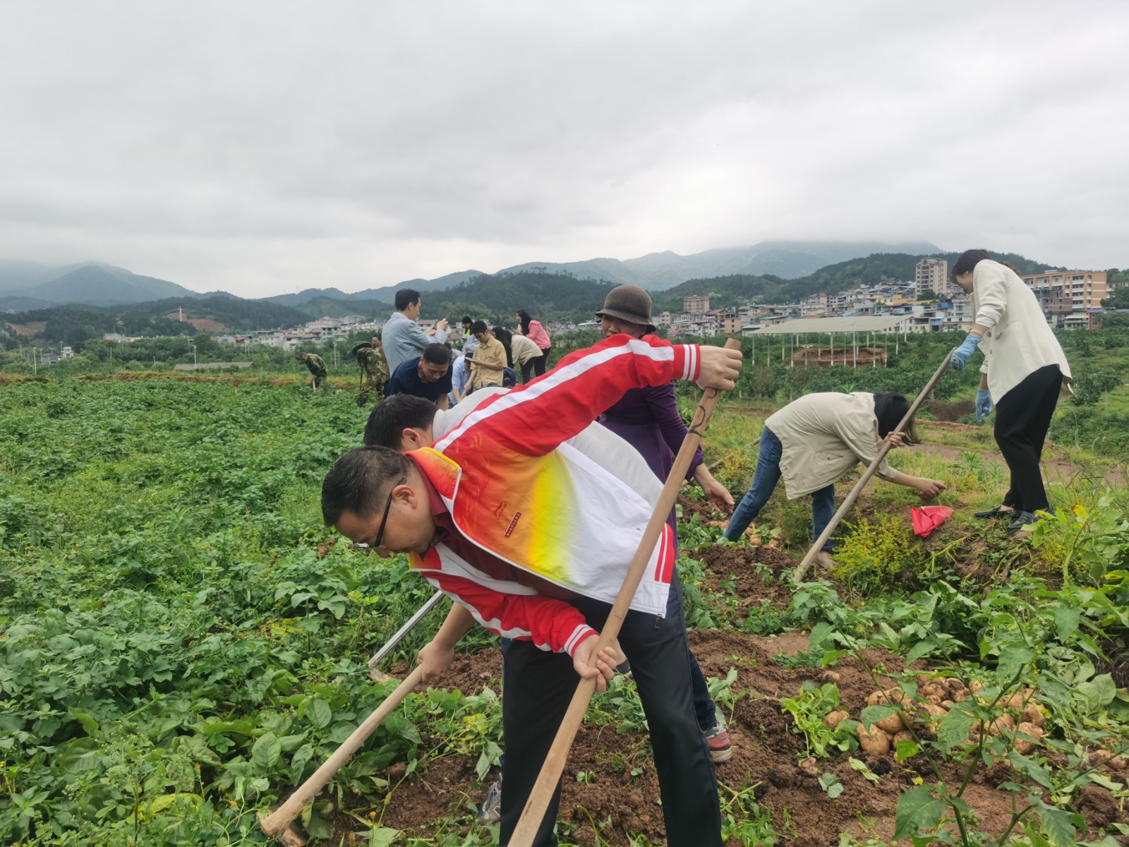 微信图片_20230426194332.jpg 微信图片_20230426194332.jpg