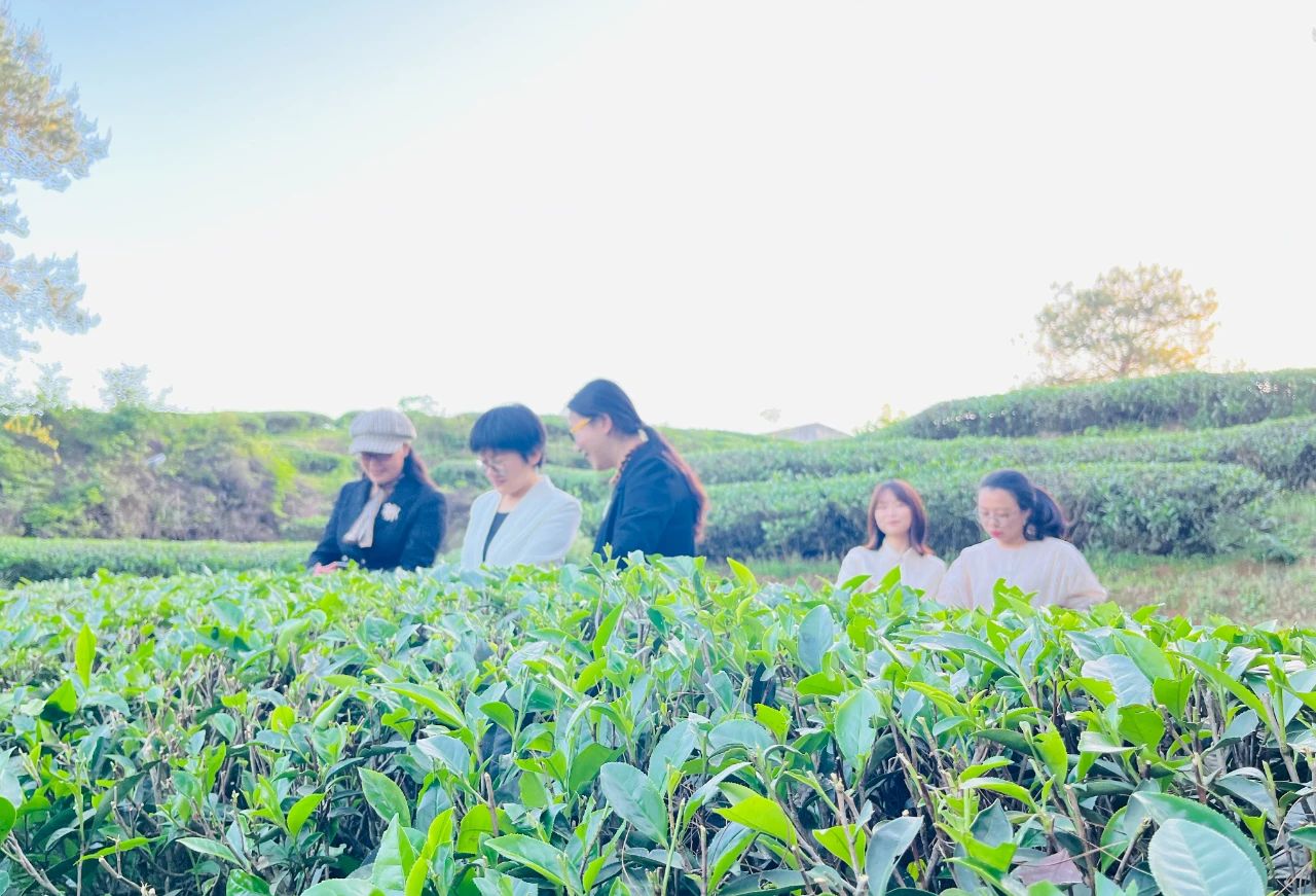 微信图片_20230504100814.jpg 微信图片_20230504100814.jpg