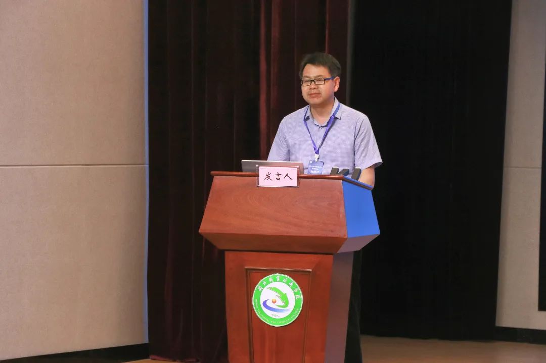 6382116947818610114189603.jpg 6382116947818610114189603.jpg