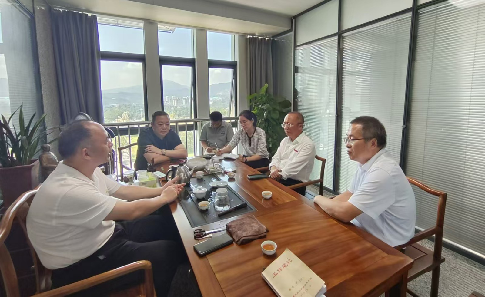 张雄书记访企拓岗.jpg 张雄书记访企拓岗.jpg