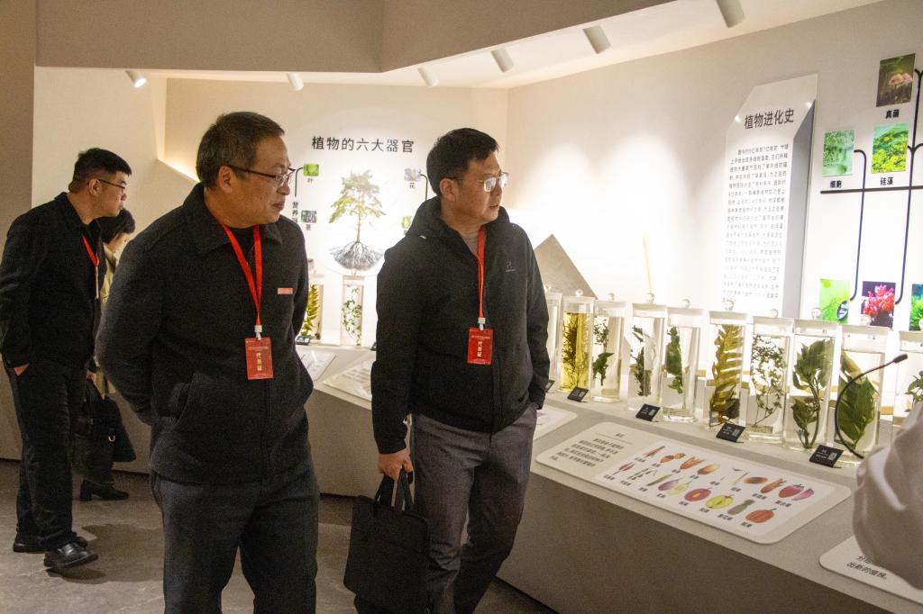 20241226_205013_027.jpg 20241226_205013_027.jpg