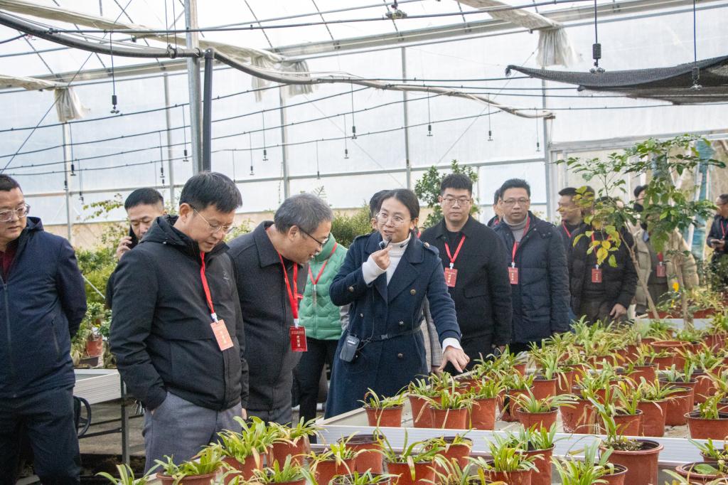 20241226_205013_030.jpg 20241226_205013_030.jpg