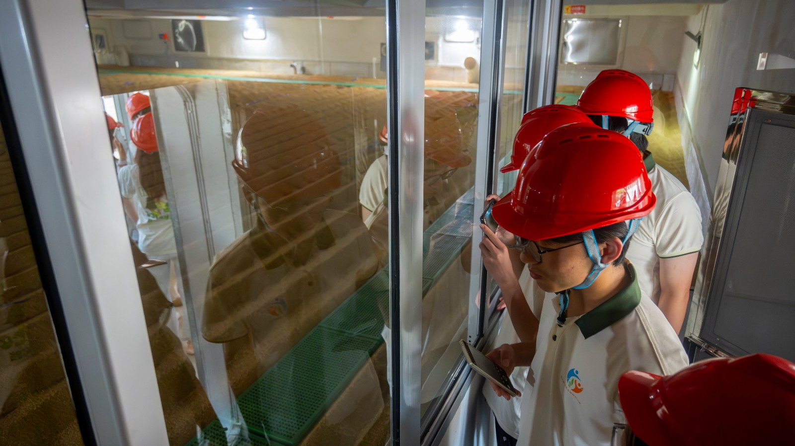 DSC_4654-2-已增强-降噪.jpg DSC_4654-2-已增强-降噪.jpg