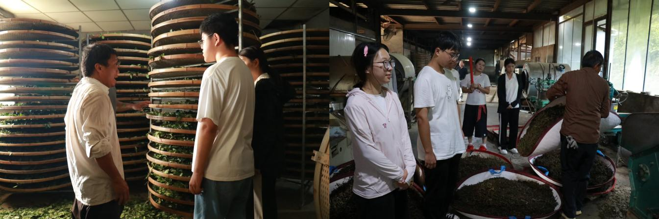 图片5.png 图片5.png